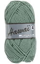 Hawai 4 - 046 groen - Lammy Yarns