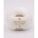 Phildar Phil Eucalyptus Blanc (op=op uit collectie)