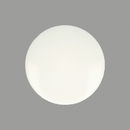 Kamsnaps wit (25 stuks)