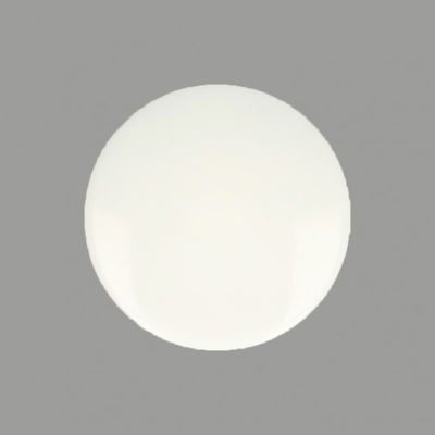 Kamsnaps wit 25 stuks 