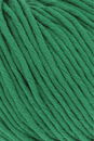 Lang Yarns Wooladdicts Joy 1065.0016 - groen (op=op)