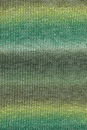 Lang Yarns Linello 1066.0017 groen blauw
