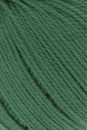 Lang Yarns Tissa 20.0118 groen