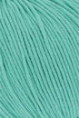Lang Yarns Baby Cotton 112.0174 Groen (op=op uit collectie)