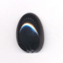 Neus 30-21 koala (10 stuks)