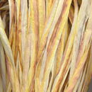 Adriafil Rafia 10 geel gemeleerd (50 gram)(op=op uit collectie)