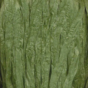 Adriafil Rafia 66 groen kak 25 gram i op=op uit collectie 