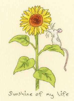 Borduurpakket Anita Jeram - Sunshine of my life op=op 