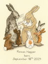 Borduurpakket Anita Jeram - Welcome to the Warren