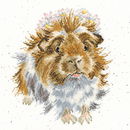 Borduurpakket dieren - Hannah Dale Grinny Pig