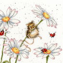 Borduurpakket dieren - Hannah Dale Daisy Mouse
