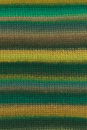 Lang Yarns Cloud 1077.0004 - multi color groen oker