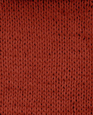 Phildar Phil Partner 3,5 Acajou