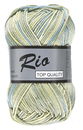 Lammy Yarns Rio multi 626 groen blauw