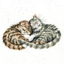 Borduurpakket dieren - Hannah Dale Sweet Dreams