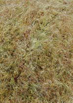 Lang Yarns Passione 976.0076 camel op=op 