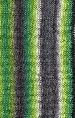 Lammy Yarns Rainbow 4 706 groen