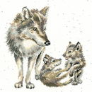 Borduurpakket dieren - Hannah Dale Wolf Pack