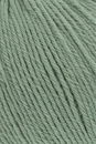 Lang Yarns Merino 200 bebe 71.0416 - oud groen