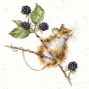 Borduurpakket dieren - Hannah Dale Brambles