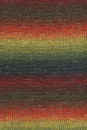 Lang Yarns Linello 1066.0055 groen rood geel