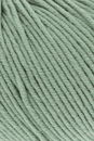 Lang Yarns Merino 120 34.0091 oud mint groen