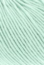 Lang Yarns Merino 120 34.0358 pistache groen