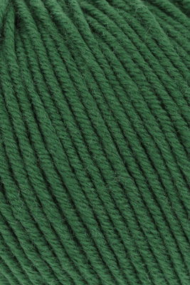 Lang Yarns Merino 120 34.0417 groen