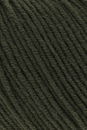 Lang Yarns Merino 120 34.0498 lichte olijf groen