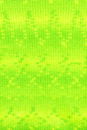 Lang Yarns Bergen 1102.0008 Neon groen geel