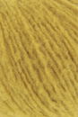 Lang Yarns Phoenix 1107.0013 Mosterd