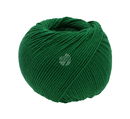 Lana Grossa Elastico 174 flessen groen (op=op uit collectie)