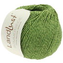 Lana Grossa Landlust sommerseide 31 linde groen (op=op)
