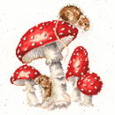Borduurpakket dieren - Hannah Dale The Fairy Ring