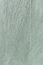 Lang Yarns Lace lame 1081.0091 Sage