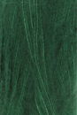 Lang Yarns Cashmere dreams 1085.0018 Dark Green
