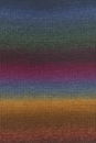 Lang Yarns Mille Colori Baby 845.0206 Multicolour Blue/Brass/Bordeaux (op=op uit collectie)