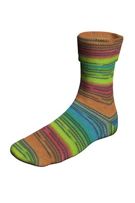 Lang Yarns Super Soxx Color 4-Fach 901.0358 Multicolour 1119 Lucerne