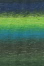 Lang Yarns Merino+ Color 926.0204 Black/Green/Blue