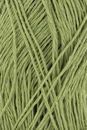 Lang Yarns Canapa 987.0044 Lime (op=op uit collectie)