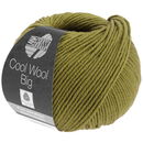 Lana Grossa Cool wool big 1006 fris groen (opruiming)