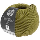 Lana Grossa Cool wool big 1006 oud groen