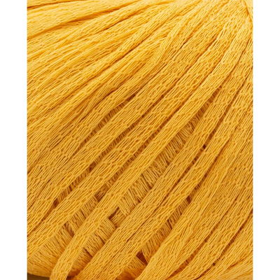 Phildar Phil Eucalyptus Safran op=op uit collectie 