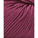 Phildar Phil Ecocoton Grappa (op=op uit collectie)