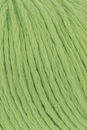 Lang Yarns Amira Light 1111.0016 lichtgroen
