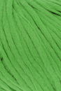Lang Yarns Wooladdicts Happiness 1013.0017 helder groen