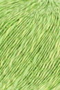 Lang Yarns Wooladdicts Pride 1090.0044 lime groen