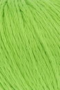 Lang Yarns Wooladdicts Sunshine 1014.0044 lente groen