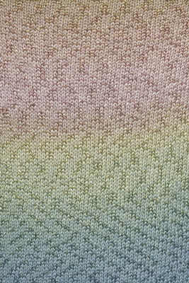 Lang Yarns Paradise 1109.0039 roze blauw