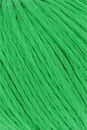Lang Yarns Wooladdicts Sunshine 1014.0017 groen